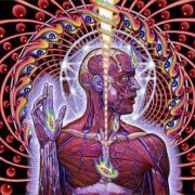 TOOL : Lateralus. Album Cover