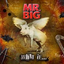 Mr. Big : What If.... Album Cover